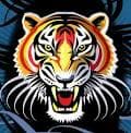 Tiger avatar image.